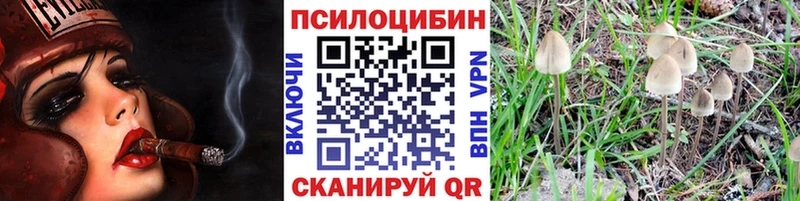 Купить  Йошкар-Ола  Псилоцибиновые грибы GOLDEN TEACHER 